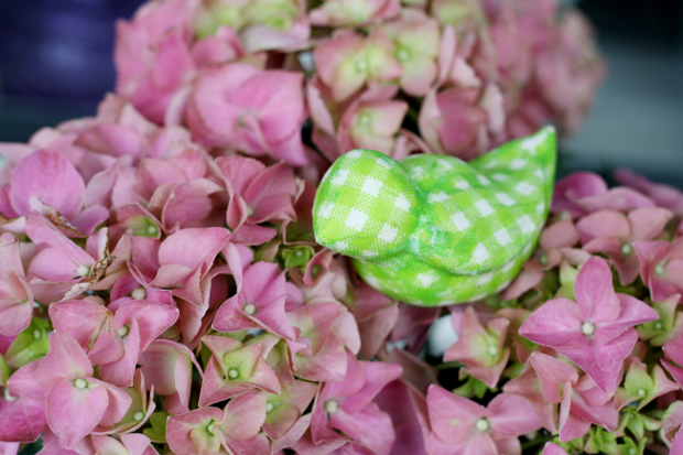 Coronavirus Themenseite