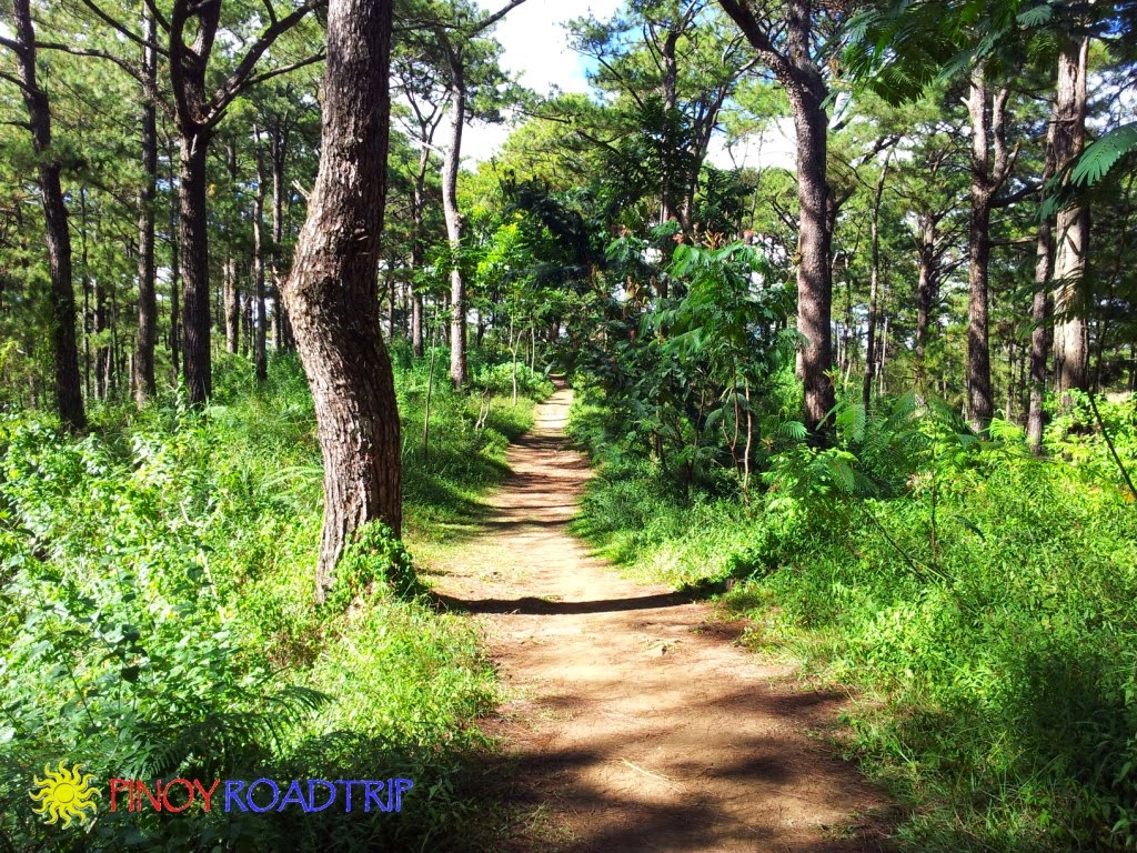 A Part Of Camp John Hay History Review Of Bell House Camp John Hay Baguio Philippines Tripadvisor