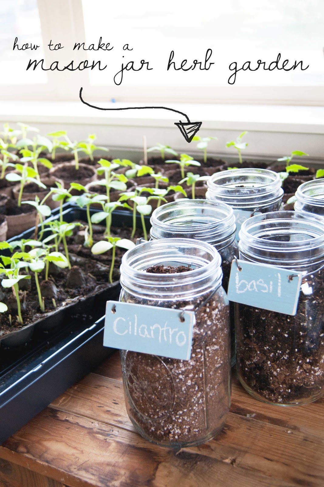 DIY Mason Jar Herb Garden Averie Lane DIY Mason Jar Herb Garden
