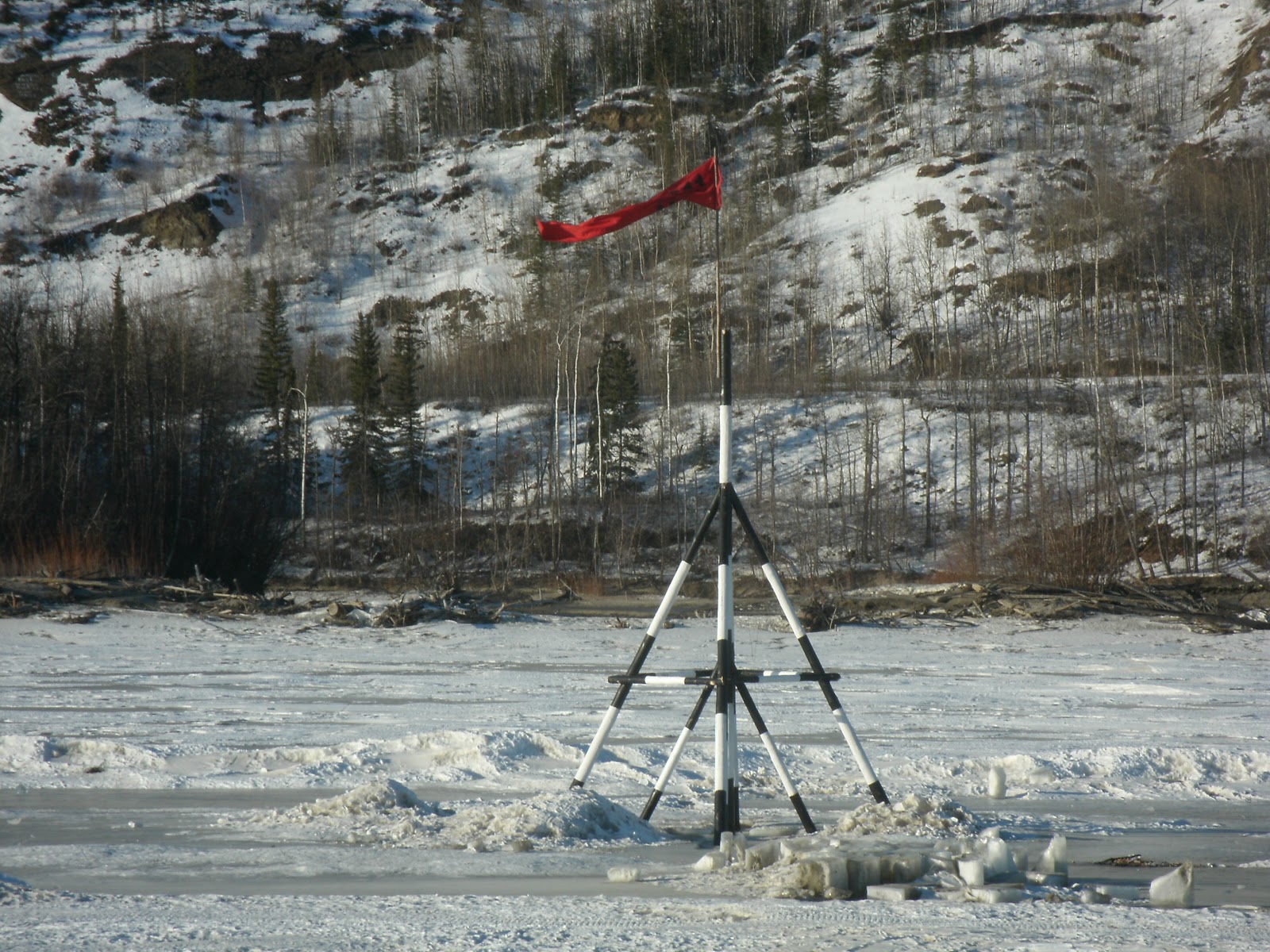 The Nenana Ice Classic The Catholic Alaskan