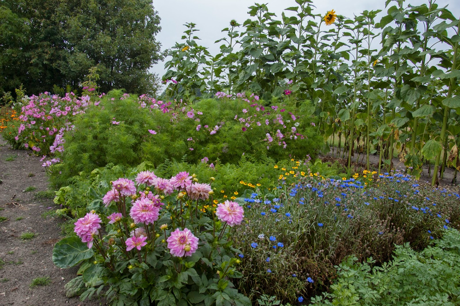 Mit grønne univers: blomster i køkken og snithaven
