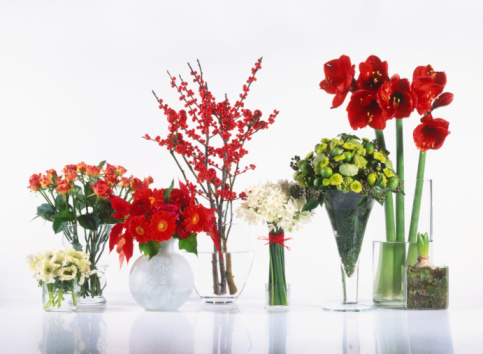 Casa da Nane: Vasos com Flores