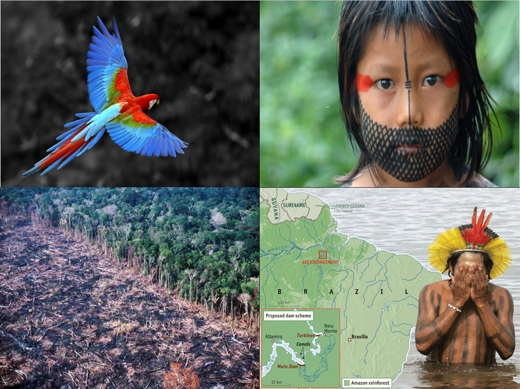 The history of the Amazon River