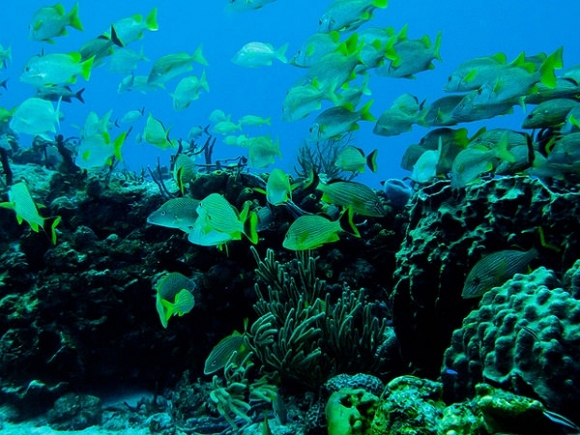 [Image: du-lich-vong-quanh-the-gioi-qua-nhung-buc-hinh-9.jpg]