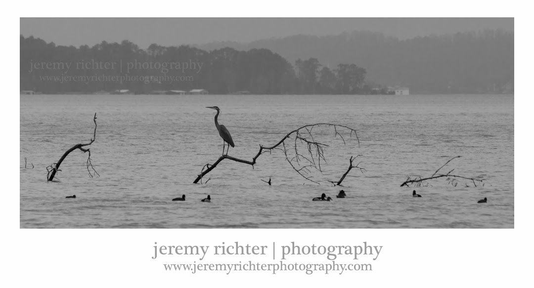 jeremy richter photography blog 02/01/2014 03/01/2014