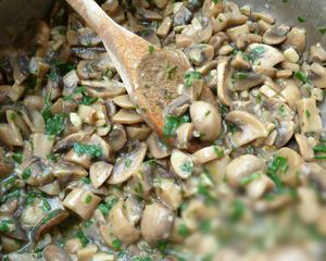 Recette des crêpes à la sauce béchamel au champignon au four