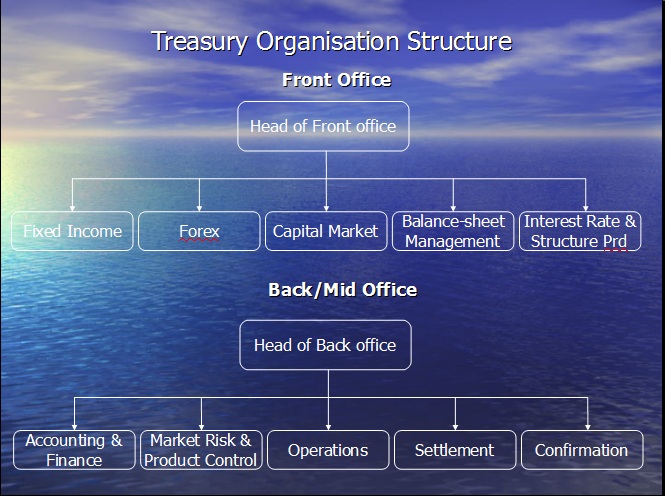 What is the function of a bank's treasury?