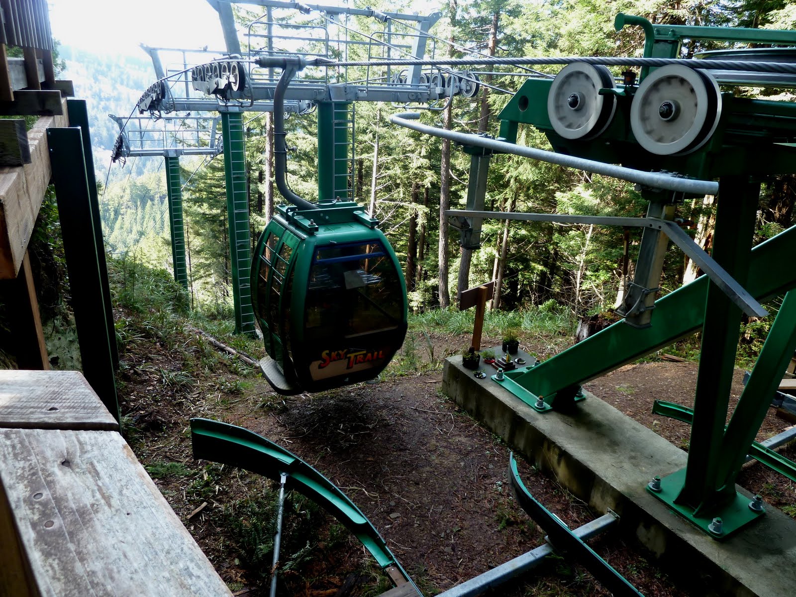 seniors walking across america DAY 47 TREES OF MYSTERY ORICK