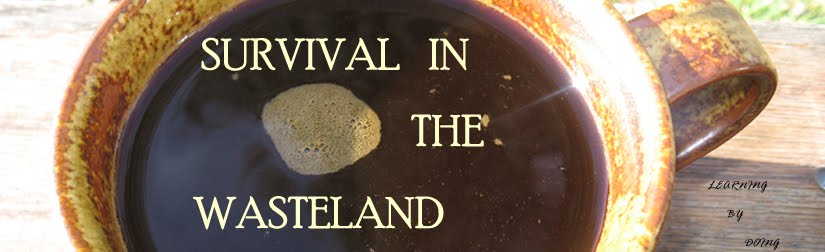 Survival in the Wasteland