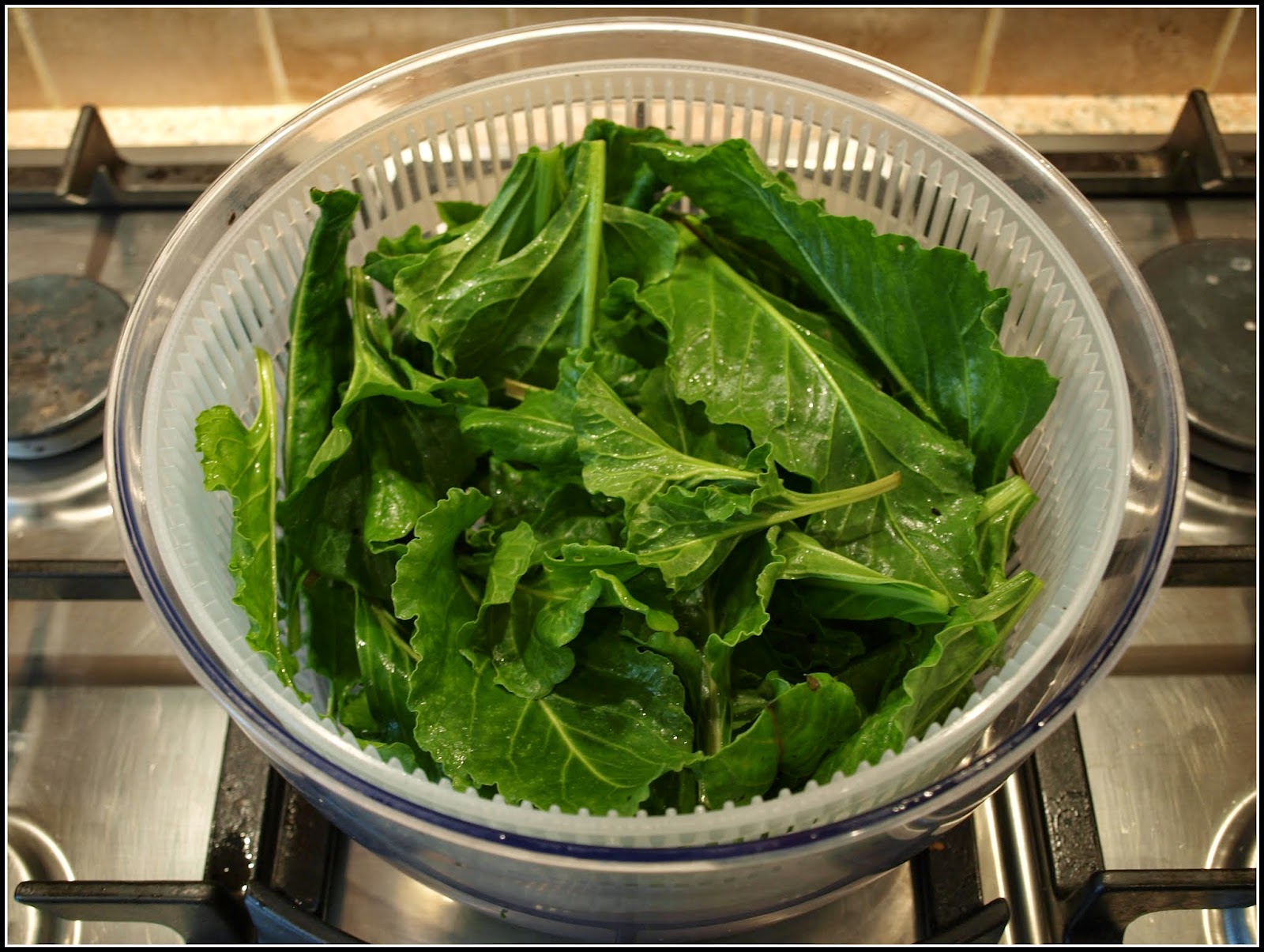 Mark's Veg Plot Perpetual Spinach