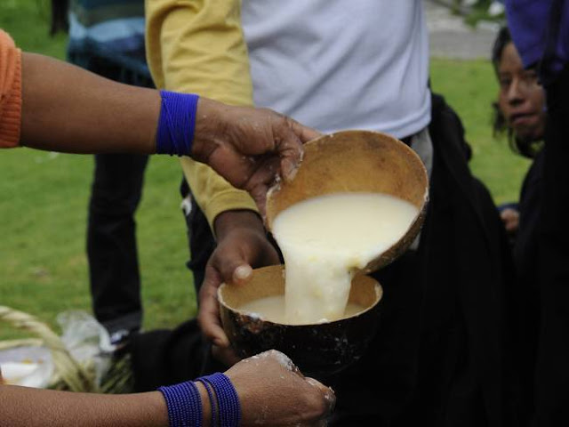 14 Minuman Keras Paling Mengerikan Dan Mematikan Ini Pernah Di Minum Manusia!