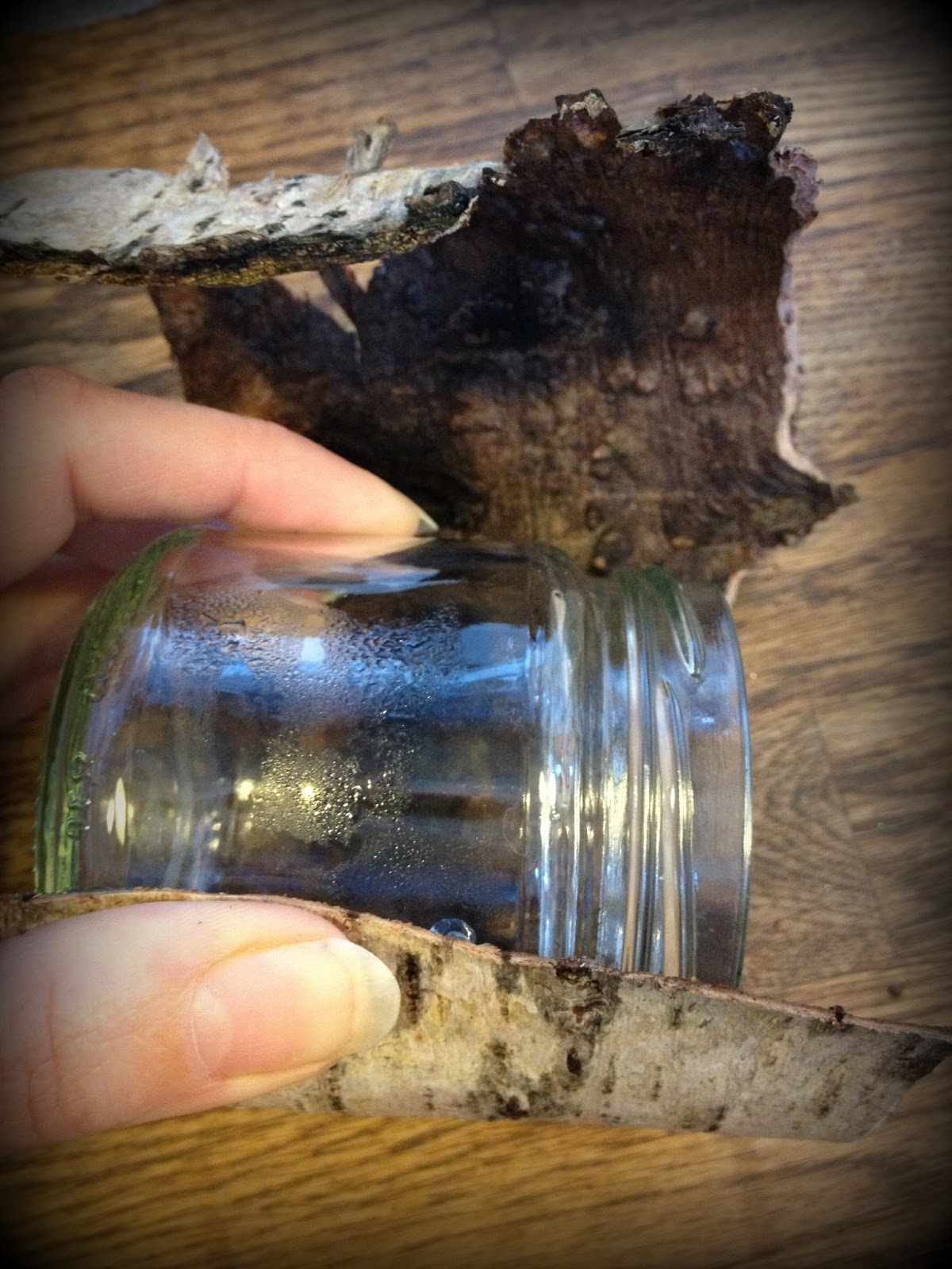 Me and my shadow How to make Silver Birch Bark Candle Holders