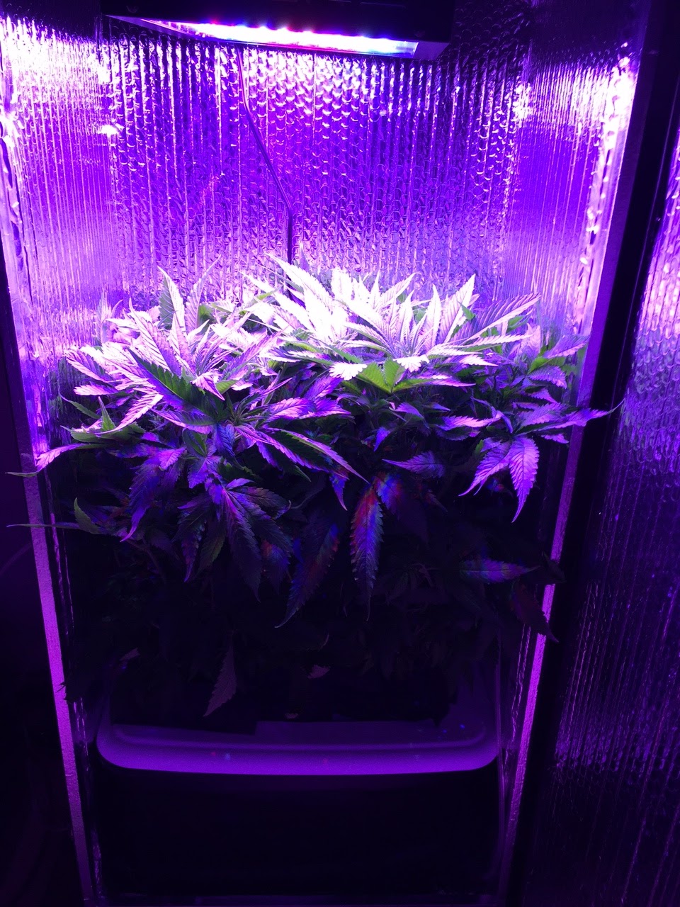 New 4 Foot Grow Cabinets For Sale 2015
