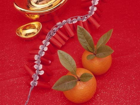 Chinese orange year mean lunar together lucky culture number Fujimini Adventure Series: Tangerines and Oranges: The Symbols of the