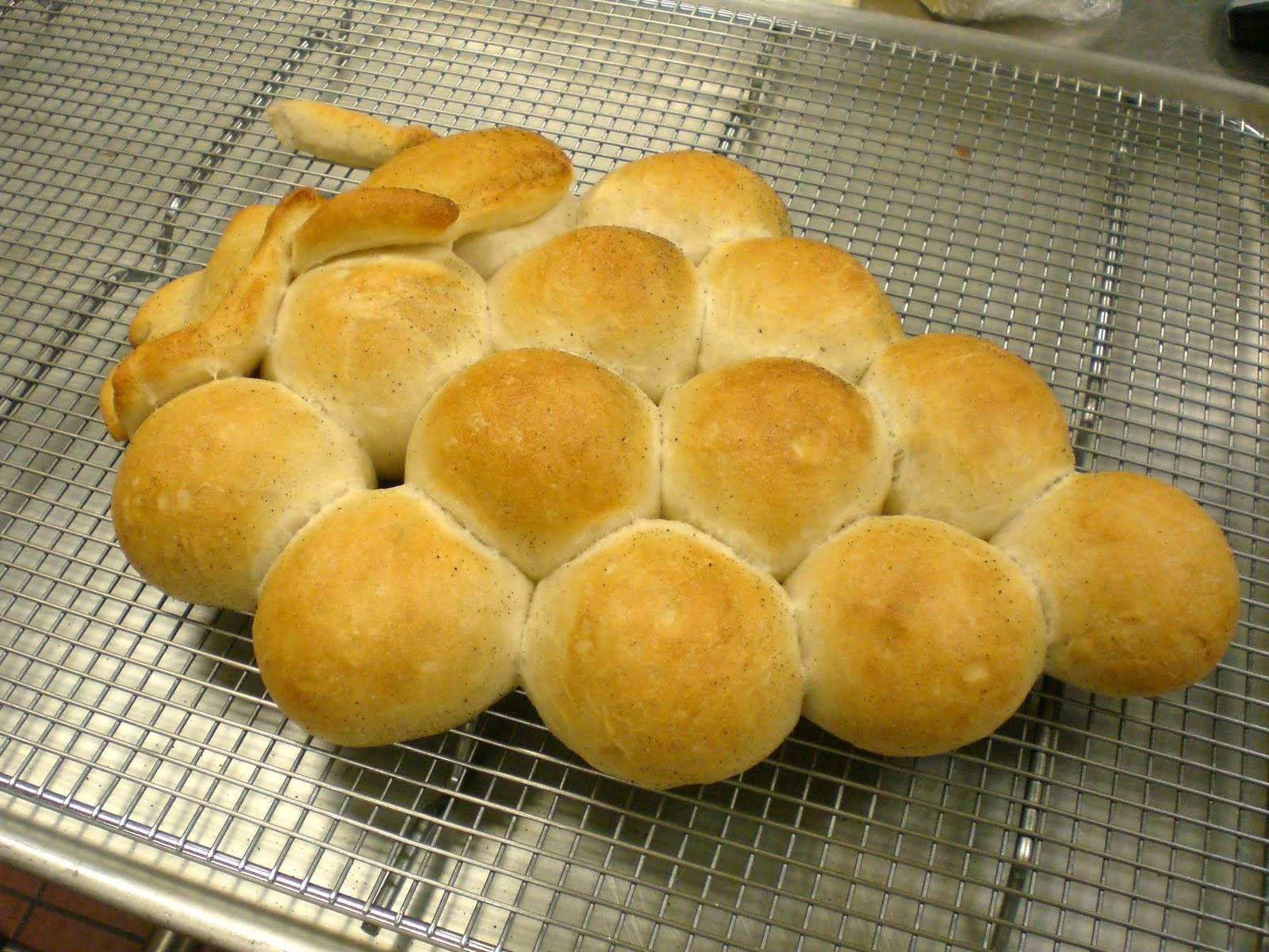 Psychedelicious Artisan Breads Week 1