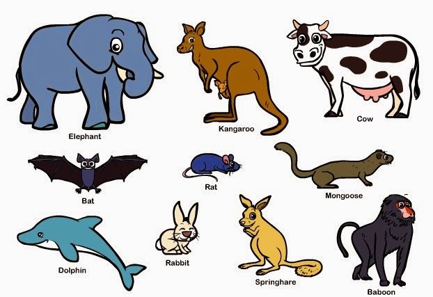 Artikel Pendidikan Ciri Ciri Mamalia Dan Pisces