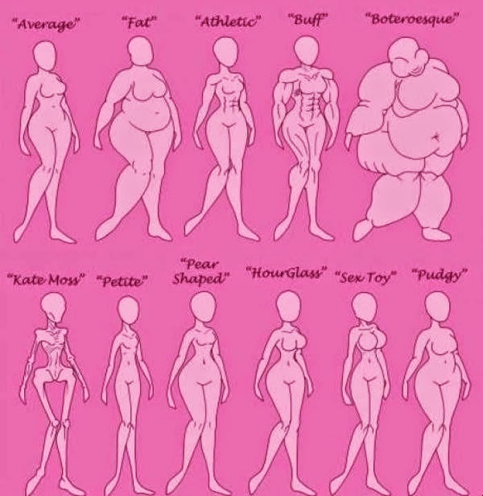 Argau: Female Body Type Chart