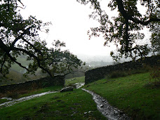 Ambleside Walk