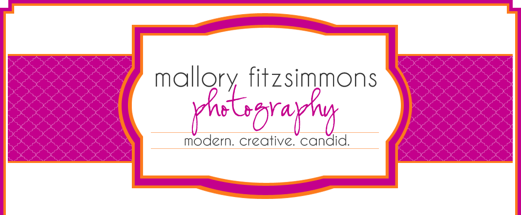 Mallory Fitzsimmons Photography