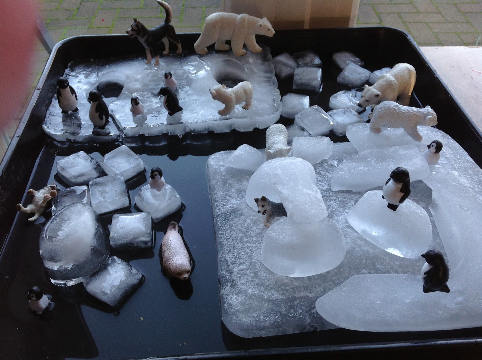 2.JPG (1600×1195) Winter preschool, Winter sensory bin, Ice play