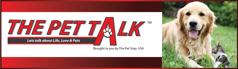THE PET TALK: LIFE, LOVE, PETS