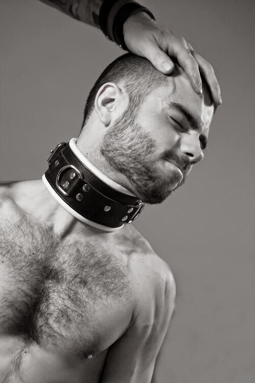 Male bondage collar photos