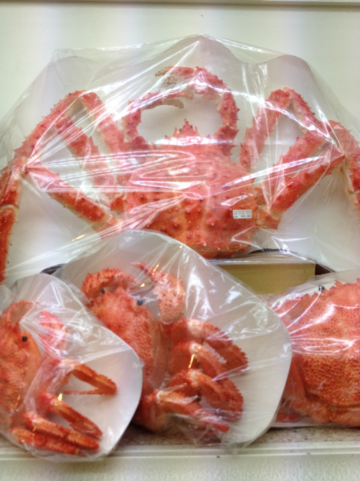 Marketing Japan Delicious Looking! The Most Expensive Plastic Food in