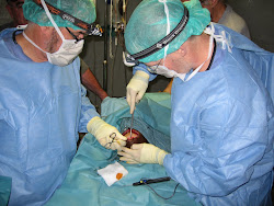 plastic/reconstructive surgery
