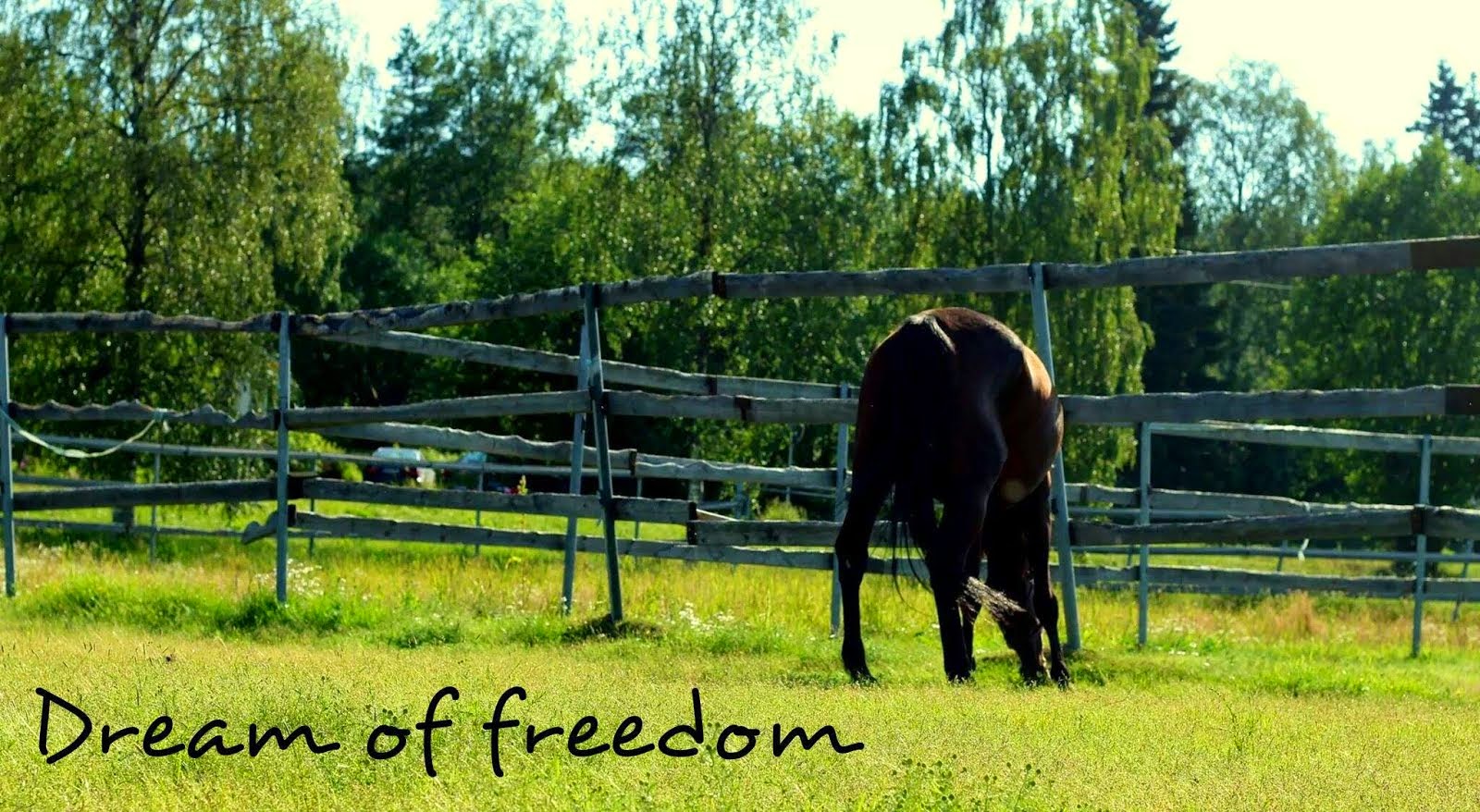 Dream of freedom