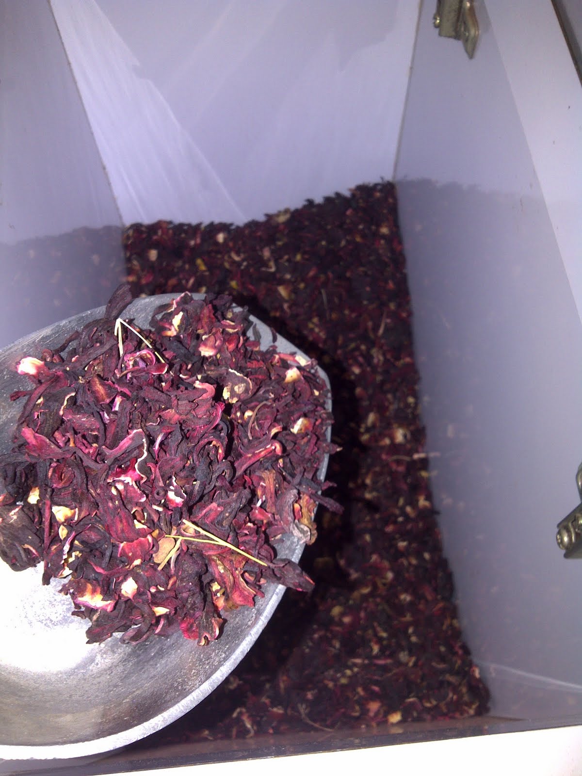 Como Hacer Concentrado De Flor De Jamaica