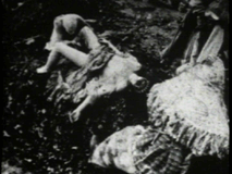 Begotten 1990