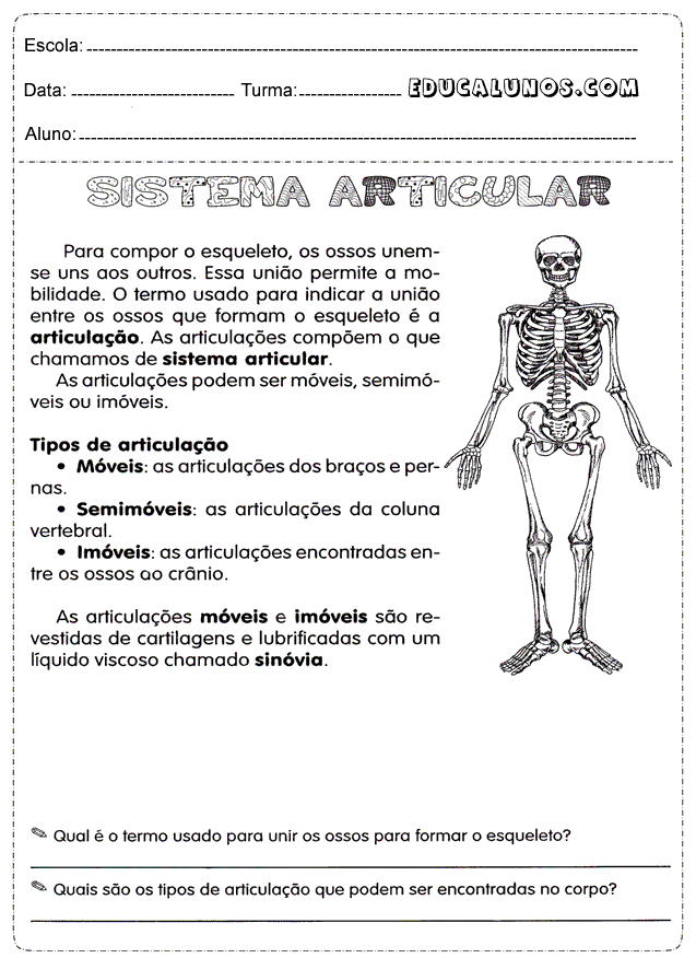 Sistema articular