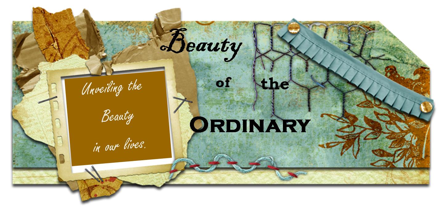 Beauty of the Ordinary