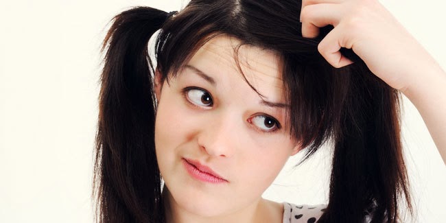 5 Cara Menghilangkan Kutu Rambut Secara Alami Dalam 7 Hari 5 Cara Menghilangkan Kutu Rambut Secara Alami Dalam 7 Hari
