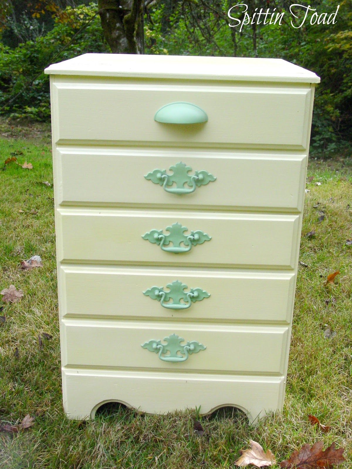 Spittin Toad Little Yellow Dresser
