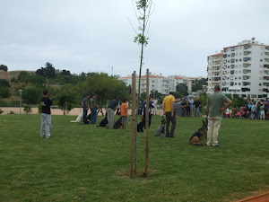 INSTRUÇÃO CANINA*ALGARVE/ALENTEJO