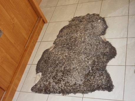 Sheep skin fur rug / Schaffell Teppich