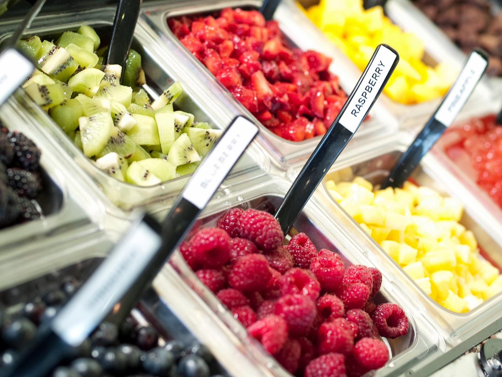 Patti Friday Kiwi Kraze SelfServe Frozen Yogurt