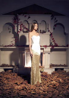 Beautiful Evening Dresses for Special Occasion by Tarek Sinno Beautiful Evening Dresses for Special Occasion by Tarek Sinno