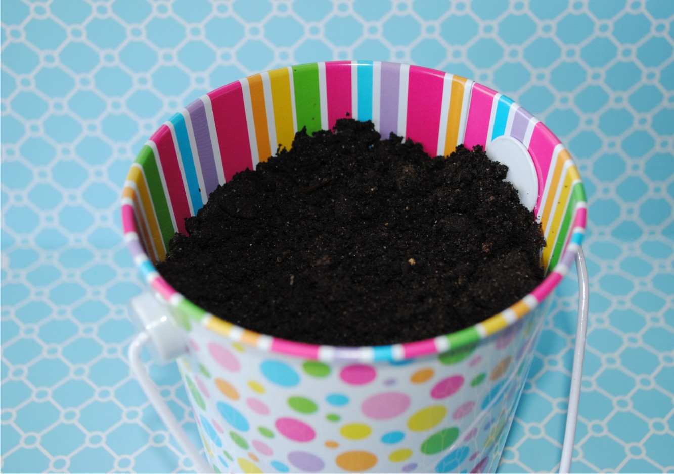 Winks & Daisies Magic Jelly Beans