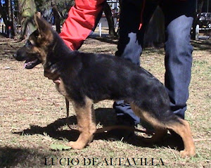 Lucio de Altavilla.