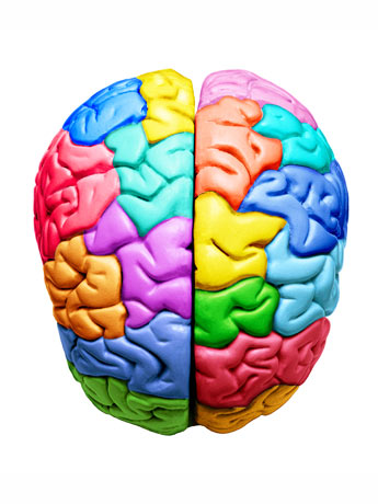 Curs                                     Intel · ligències Múltiples i web 2.0