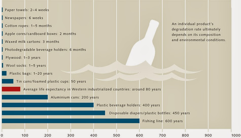 Marine Debris Plastic Degradation