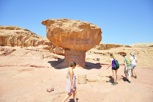 Sandstone Mushroom Timna Park