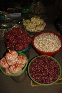 Garlic & onion - Local specialties of Lý Sơn island Garlic & onion - Local specialties of Lý Sơn island