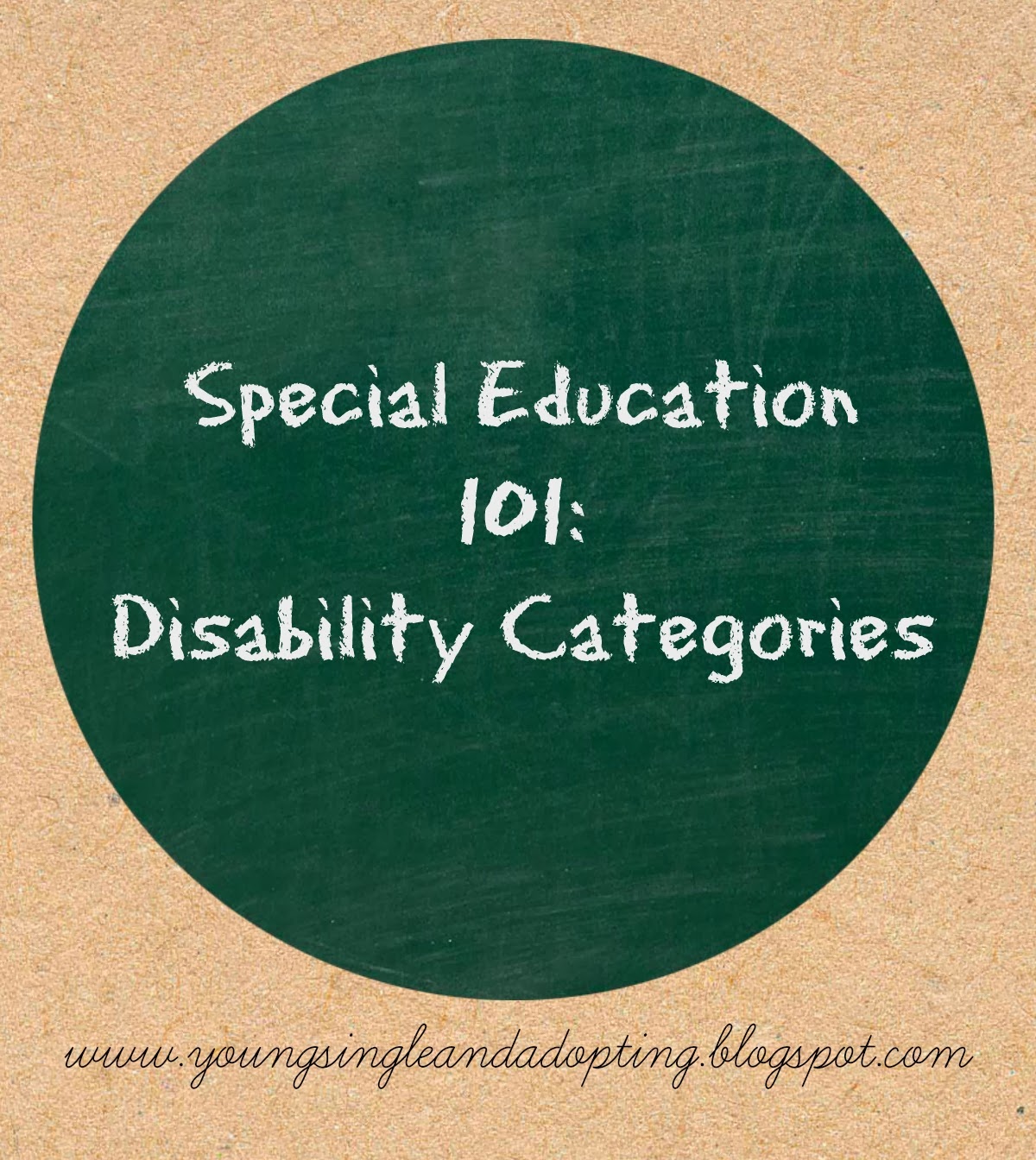 Young, Single, And Adopting Special Education 101 Disablity Categories