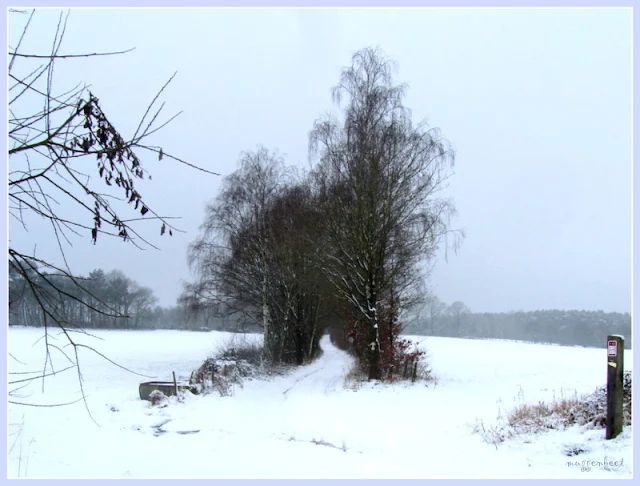 kronkelend pad in de sneeuw