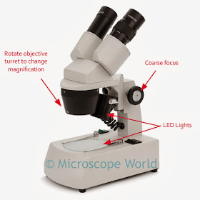 Popular High School Dissecting Microscopes Microscope World Blog