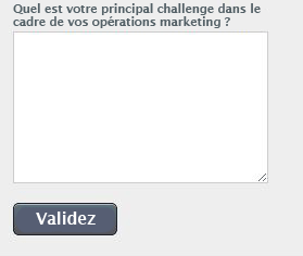 exemple d'un champ question ouverte d'un formulaire