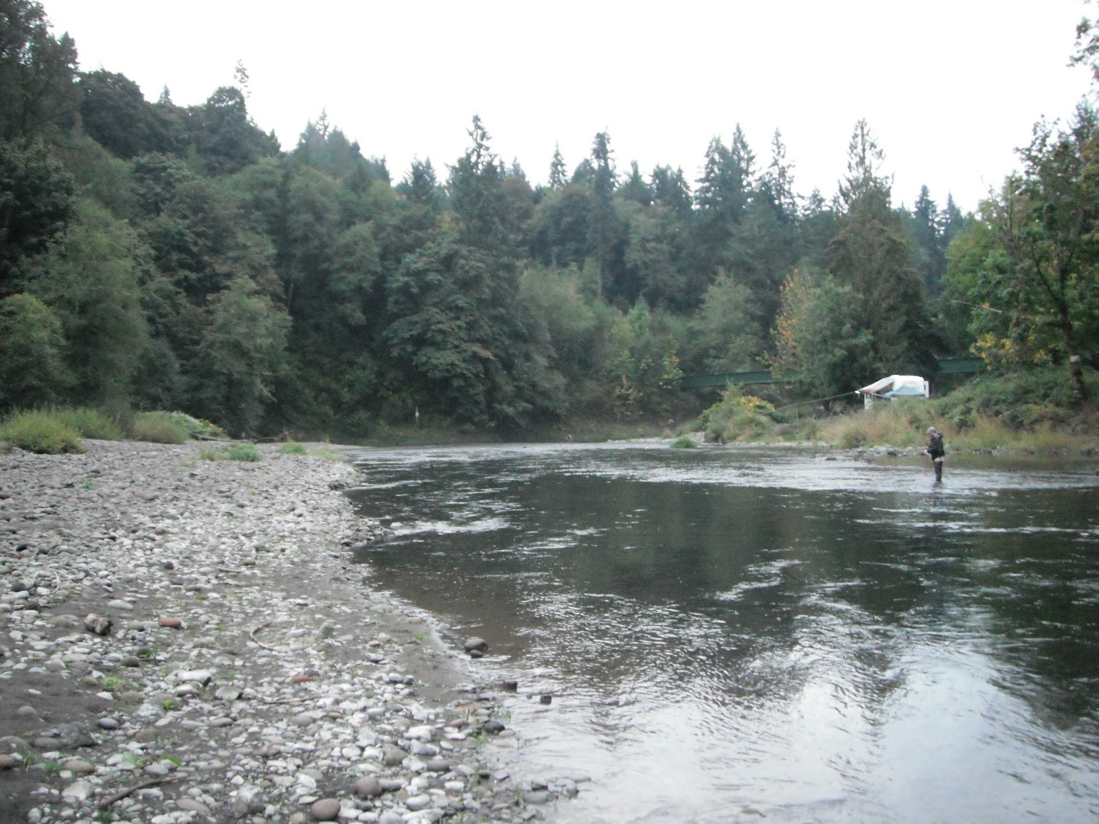 Where I have Fished Kalama River, WA